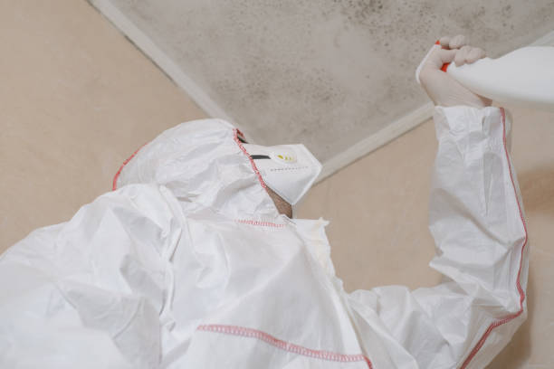 Best Crawl Space Mold Removal  in Wauconda, IL